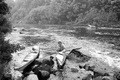 P40