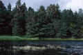 P76