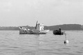 P55