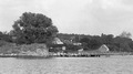 P60