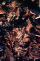 P94
