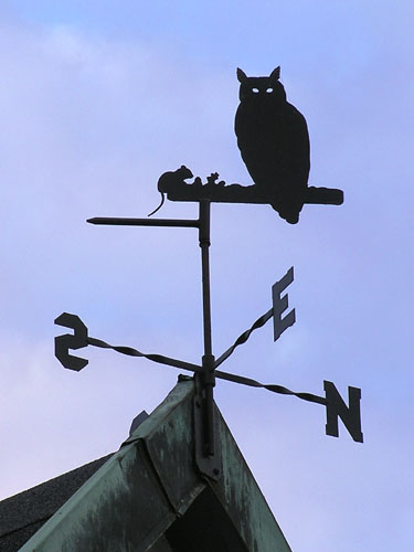 Vindfløj / Weather vane