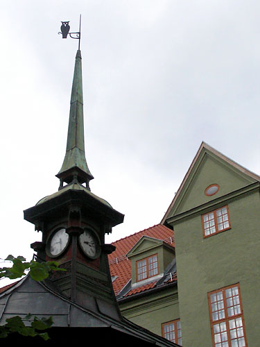 Vindfløj / Weather vane