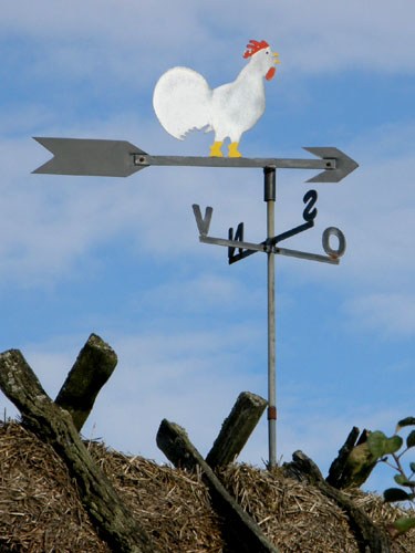 Vindfløj / Weather vane