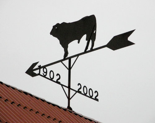 Vindfløj / Weather vane