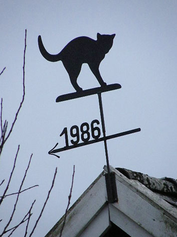 Vindfløj / Weather vane