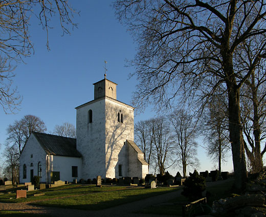 Vindfløj / Weather vane