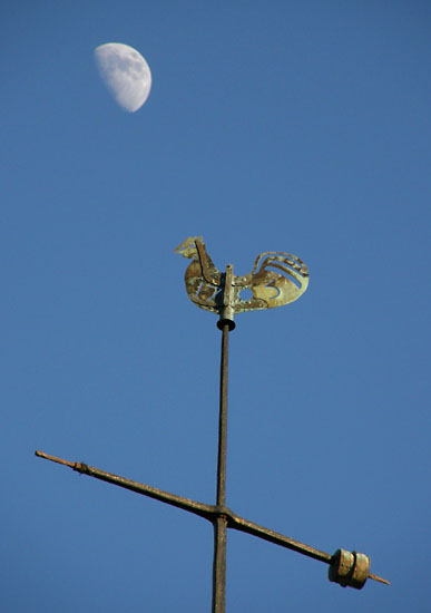 Vindfløj / Weather vane