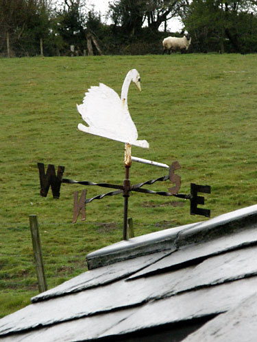 Vindfløj / Weather vane