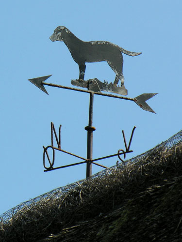 Vindfløj / Weather vane