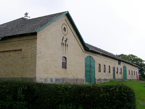 Vindfløj / Weather vane