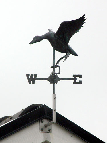 Vindfløj / Weather vane