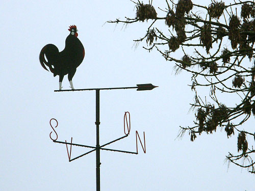 Vindfløj / Weather vane