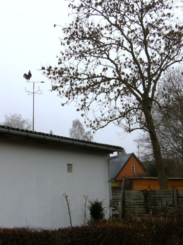 Vindfløj / Weather vane