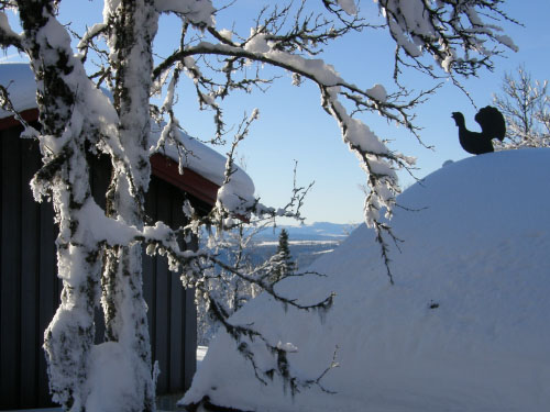 Vindfløj / Weather vane