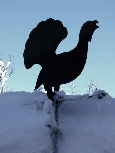 Vindfløj / Weather vane