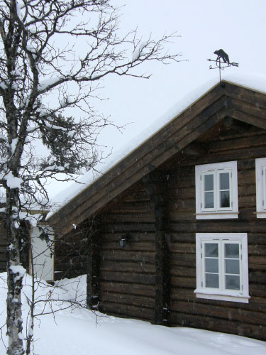 Vindfløj / Weather vane