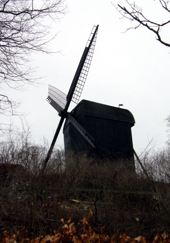 Vindfløj / Weather vane