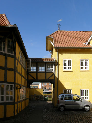 Vindfløj / Weather vane