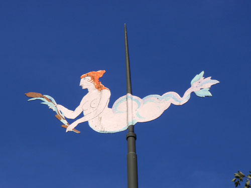 Vindfløj / Weather vane
