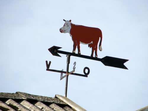 Vindfløj / Weather vane