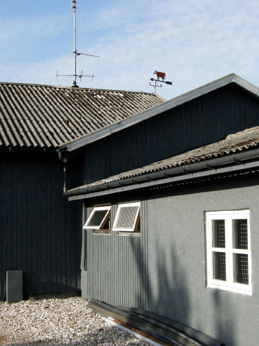 Vindfløj / Weather vane