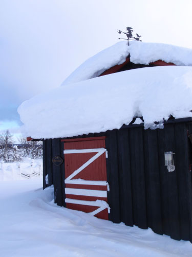 Vindfløj / Weather vane