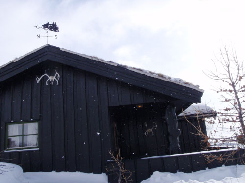 Vindfløj / Weather vane