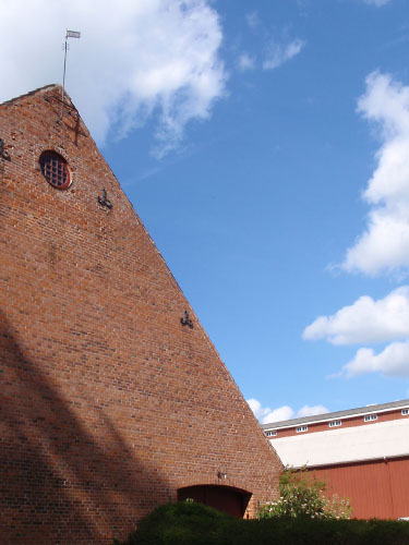 Vindfløj / Weather vane