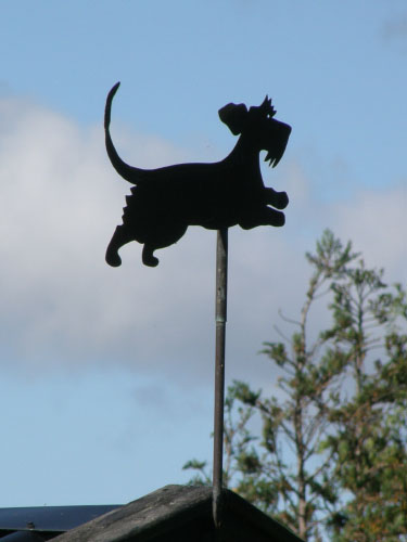 Vindfløj / Weather vane