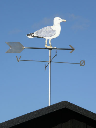 Vindfløj / Weather vane