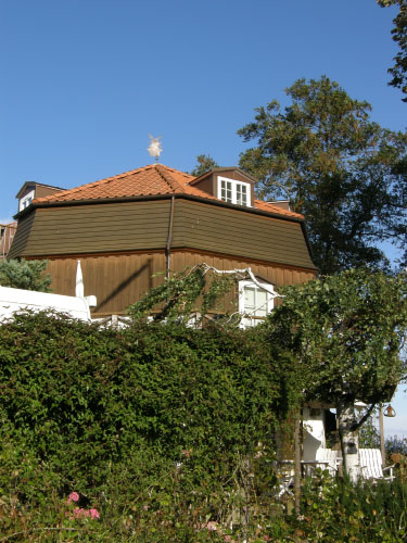 Vindfløj / Weather vane