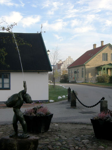 Vindfløj / Weather vane