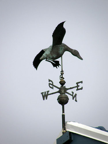 Vindfløj / Weather vane