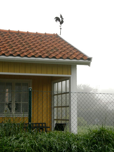 Vindfløj / Weather vane