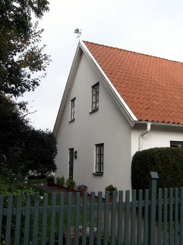 Vindfløj / Weather vane
