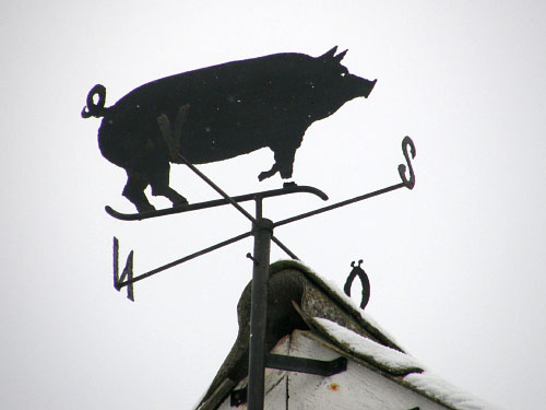Vindfløj / Weather vane