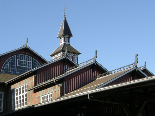 Vindfløj / Weather vane