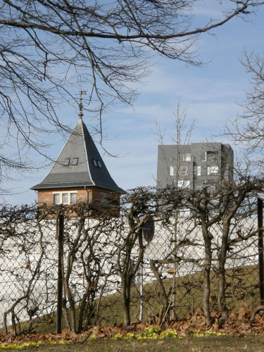 Vindfløj / Weather vane