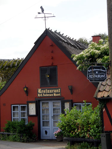 Vindfløj / Weather vane