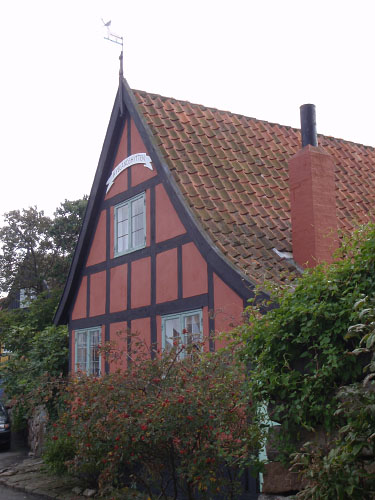Vindfløj / Weather vane