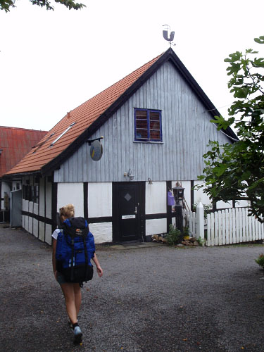 Vindfløj / Weather vane