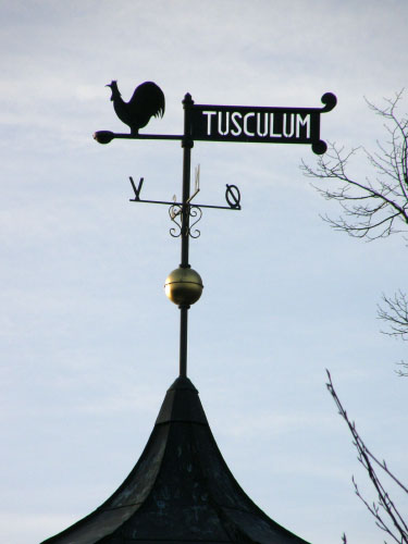 Vindfløj / Weather vane