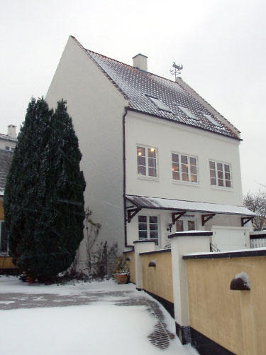 Vindfløj / Weather vane