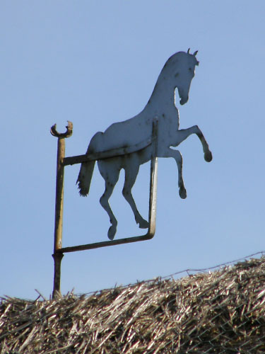 Vindfløj / Weather vane