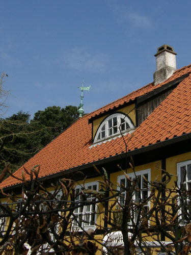 Vindfløj / Weather vane