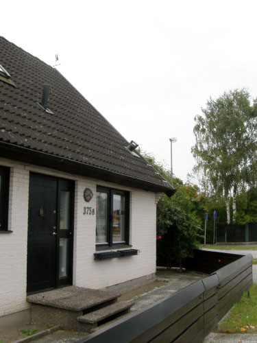 Vindfløj / Weather vane