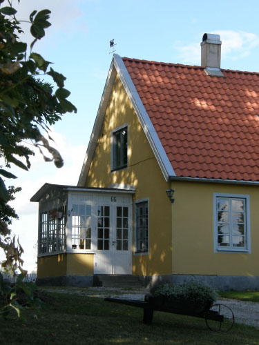 Vindfløj / Weather vane
