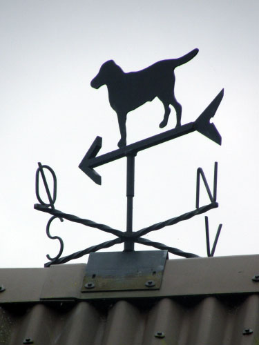 Vindfløj / Weather vane