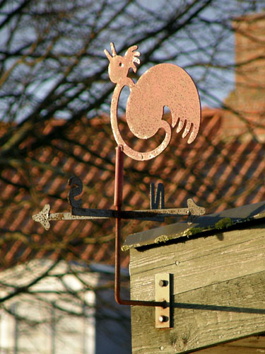 Vindfløj / Weather vane